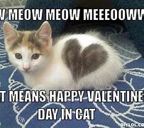 Image result for Cat Meow Valentine Meme