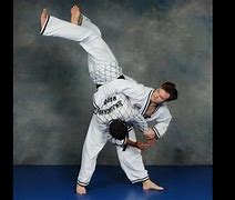 Image result for Hapkido Karate Techniques