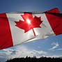 Image result for Canadian Flag Vector Art