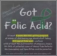 Image result for Anencephaly Folic Acid