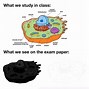 Image result for Biology Study Meme