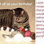 Image result for Cat Saying Happy Birthday