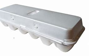 Image result for White Foam Egg Cartons