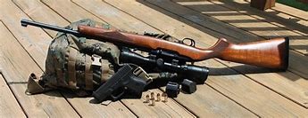 Image result for Small Hunting Rifles