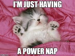 Image result for Cat Nap Meme