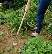 Image result for Stainless Steel Weeder