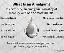 Image result for amalgamavi�n