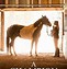 Image result for Faith the Horse Movie