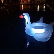 Image result for Inflatable Swan Pool Float