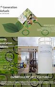 Image result for Fourth Generation Biofuels
