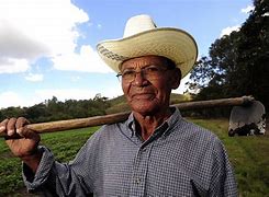 Image result for Farmer in Field