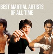 Image result for Best Martial Artists Together