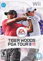 Image result for Tiger Woods Airplane