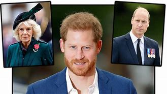 Image result for Prince Harry Laughing