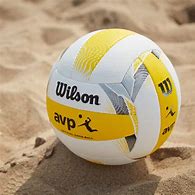 Image result for Wilson Outdoor Volleyball