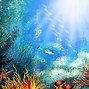 Image result for Underwater Lake Wallpaper