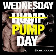 Image result for Hump Day Workout Meme