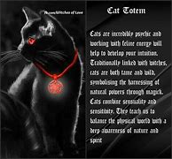 Image result for Wicca Cat