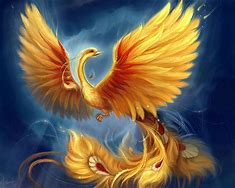 Image result for Baby Phoenix Mythology Image