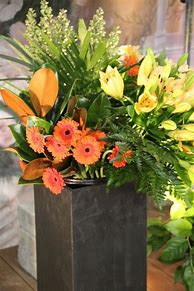 Image result for Ontario Local Flowers