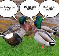 Image result for Fact Funny Jokes