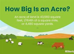 Image result for Big Acre