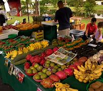 Image result for Florida Farmers