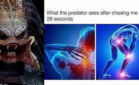 Image result for Funny Predator Memes