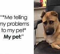 Image result for Relatable Quotes Memes