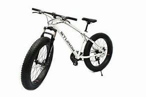Image result for Gear Wali Cycle