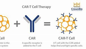 Image result for Cart 细胞修饰