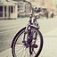 Image result for Bicycle Cool Bike