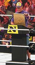 Image result for John Cena AA