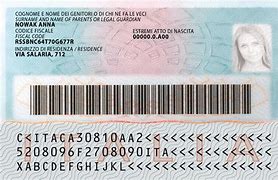 Image result for US National ID Card