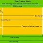 Image result for All Cricket Pitch Types Image