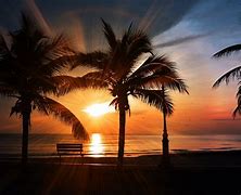 Image result for Beautiful Beach Sunset with Palm Trees