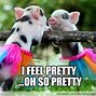 Image result for pigs memes