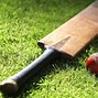 Image result for Street Cricket Ball