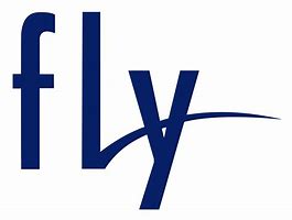 Image result for Fly Airlines Logo