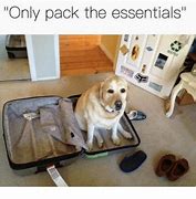 Image result for Packing the Essentials Meme
