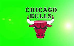 Image result for Chicago Bulls Team Members