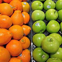 Image result for Trees of Oranges and Apple