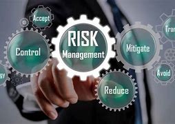 Image result for Define Risk Management