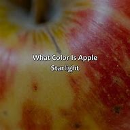Image result for Apple iPhone SE 3 Starlight