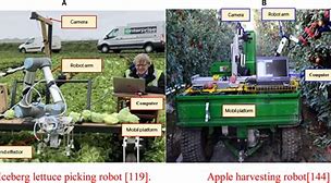 Image result for Picking Robot