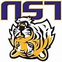 Image result for LSU Tigers Football Logo Stencil