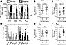 Image result for Memory B-cell Response