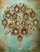 Image result for Family Tree Background