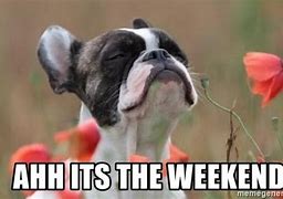 Image result for Bring On the Weekend Meme