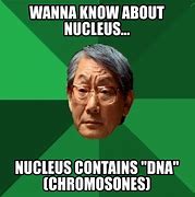 Image result for DNA Replication Meme